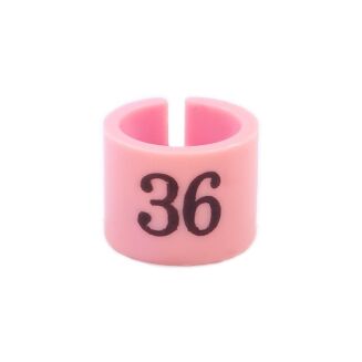 Rozmiarówka wieszakowa standardowa 36