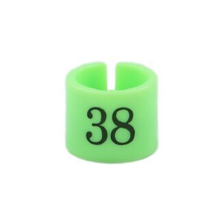 Rozmiarówka wieszakowa standardowa 38